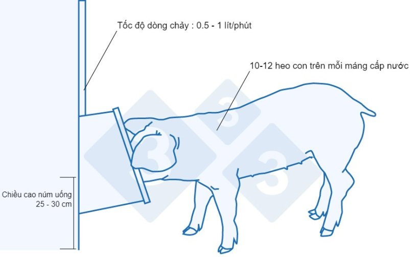 M&aacute;ng uống được khuyến nghị cho heo con mới cai sữa.&nbsp;

